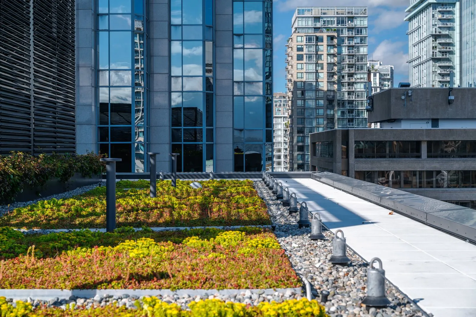 Green roof planting and gravel strip on a terrace at Amazon Downtown