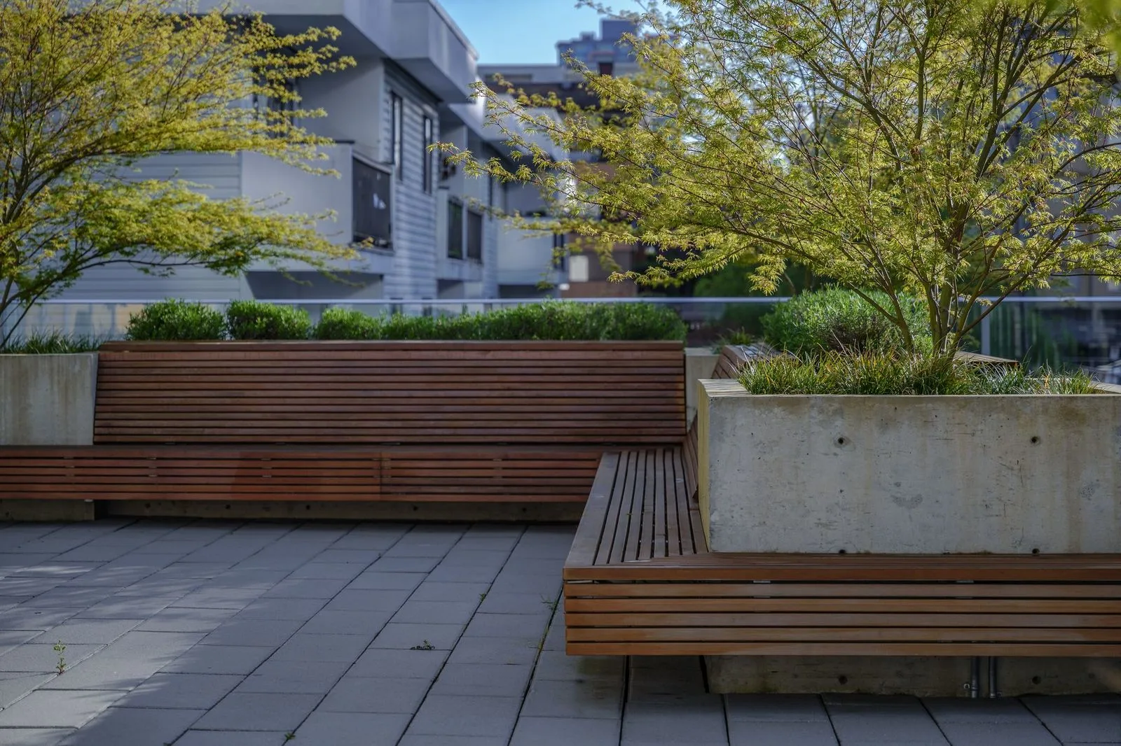 Timber benches around a concrete planter on a terrace at The Beverley