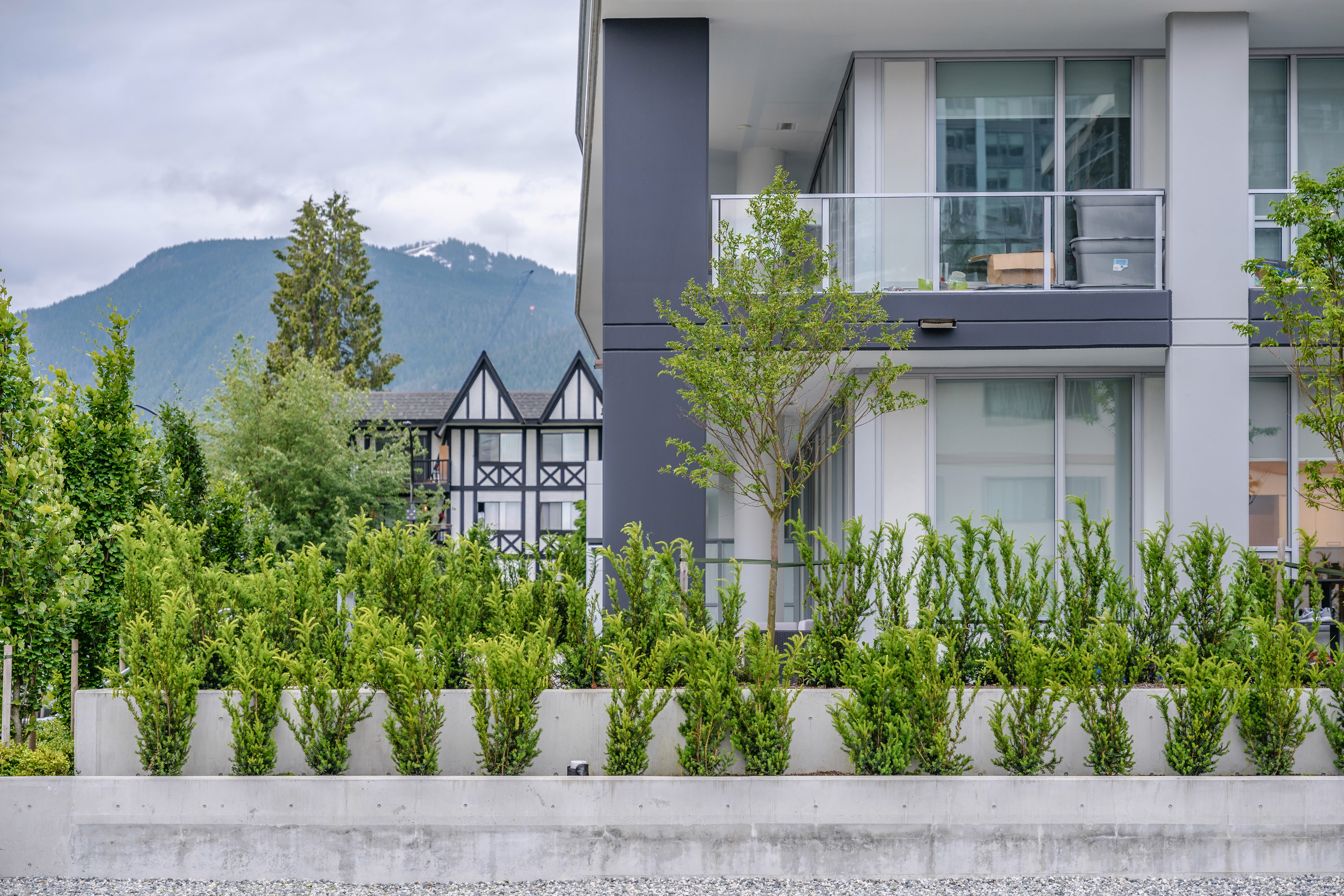 Hedge planter along a building with mountain views at Origin