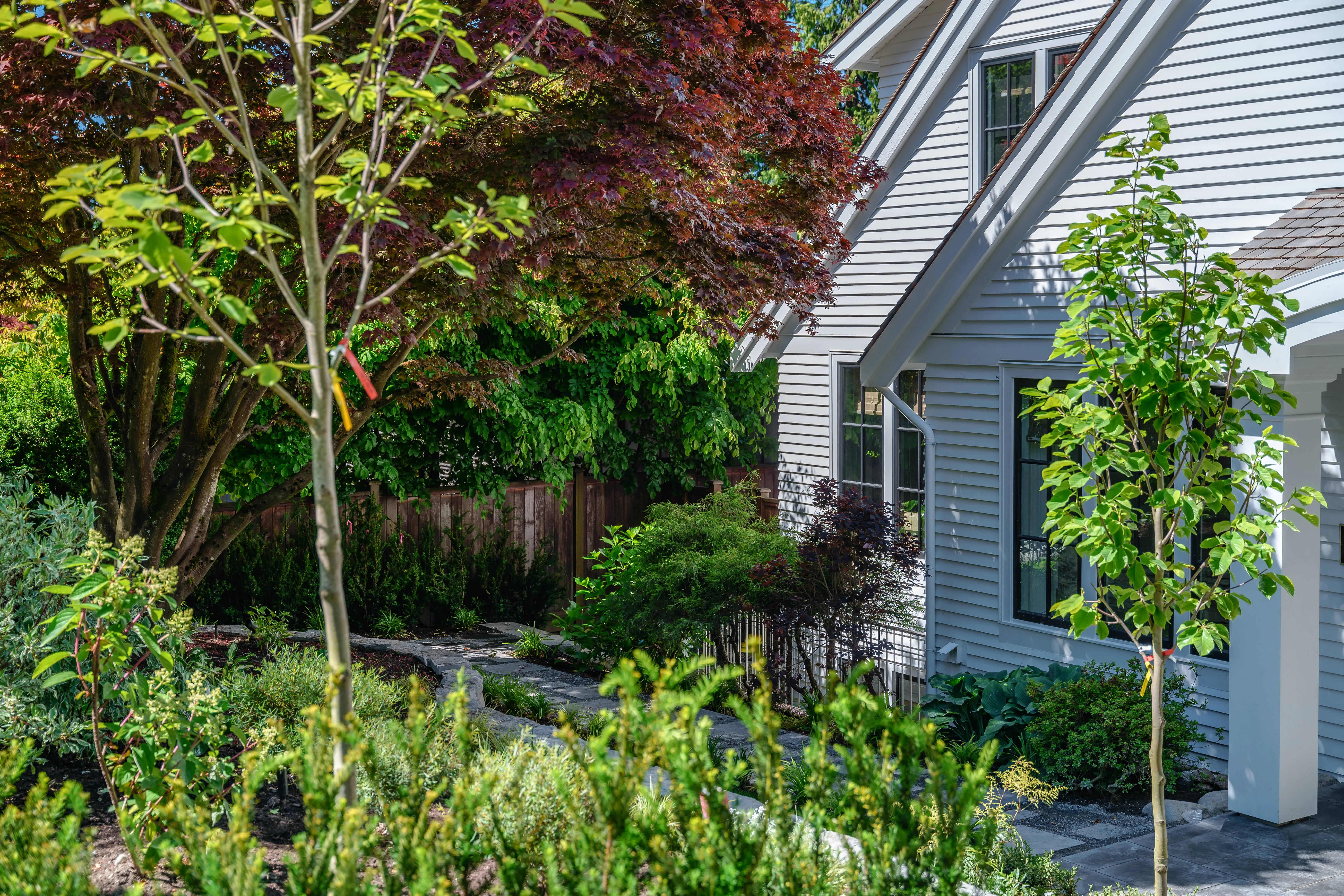 Young trees and layered shrub planting beside a house at MacKenzie