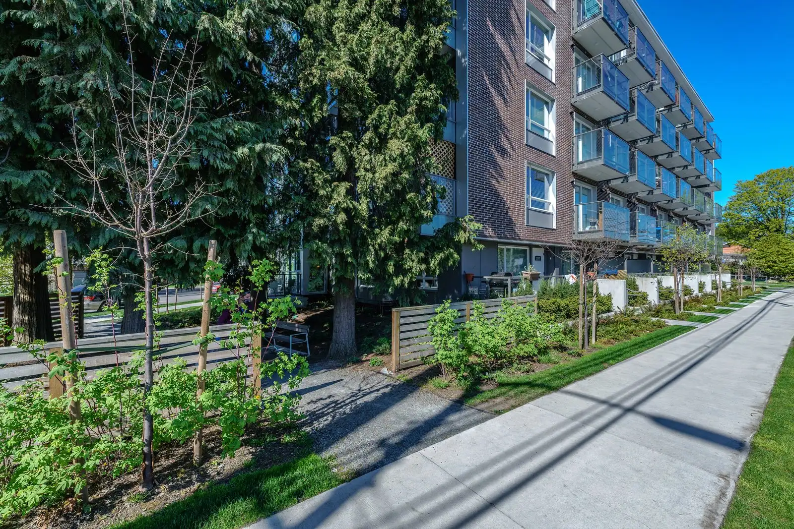 Sidewalk and boulevard planting along a residential building at Conrad