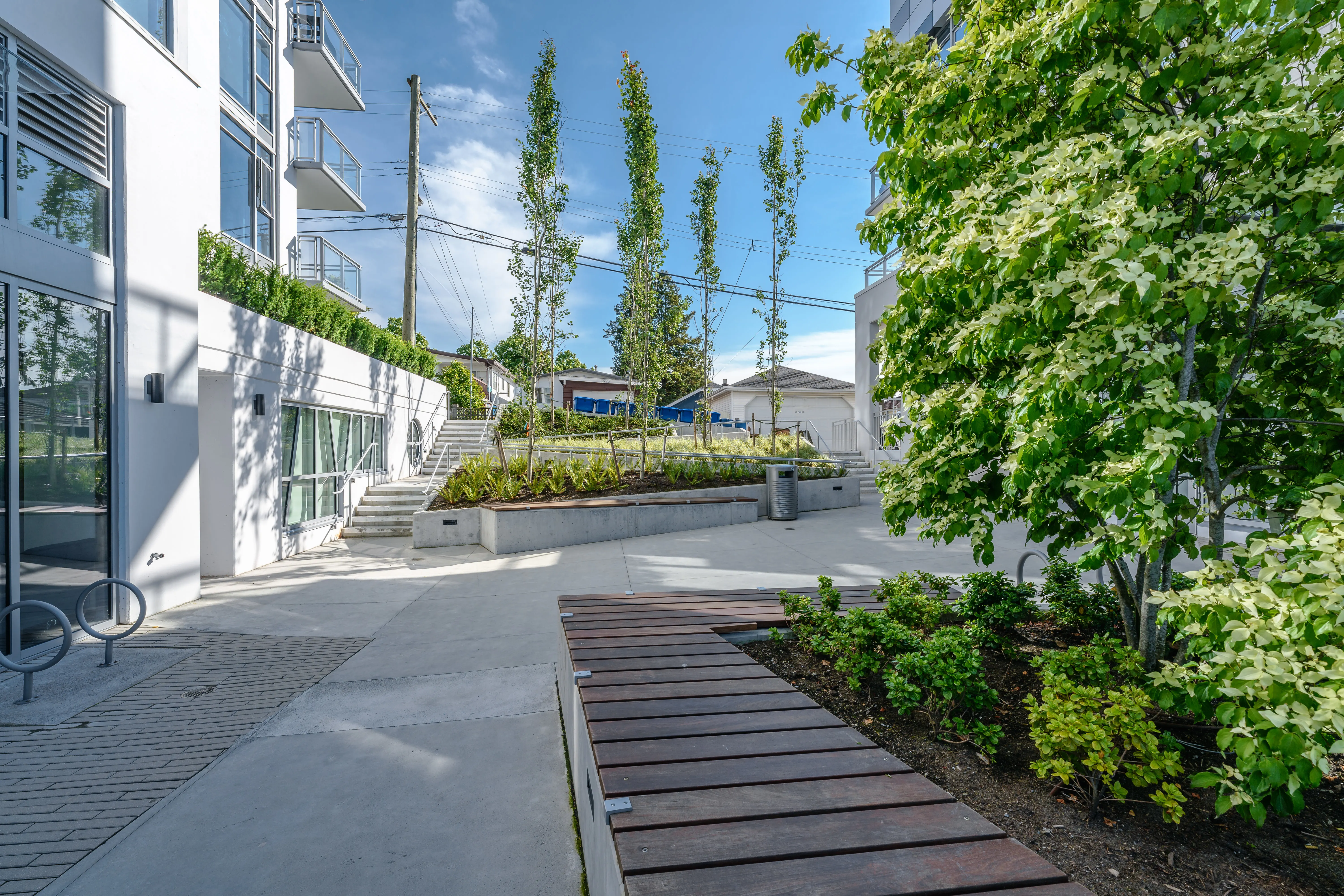 Timber boardwalk and planting between buildings at The Windsor