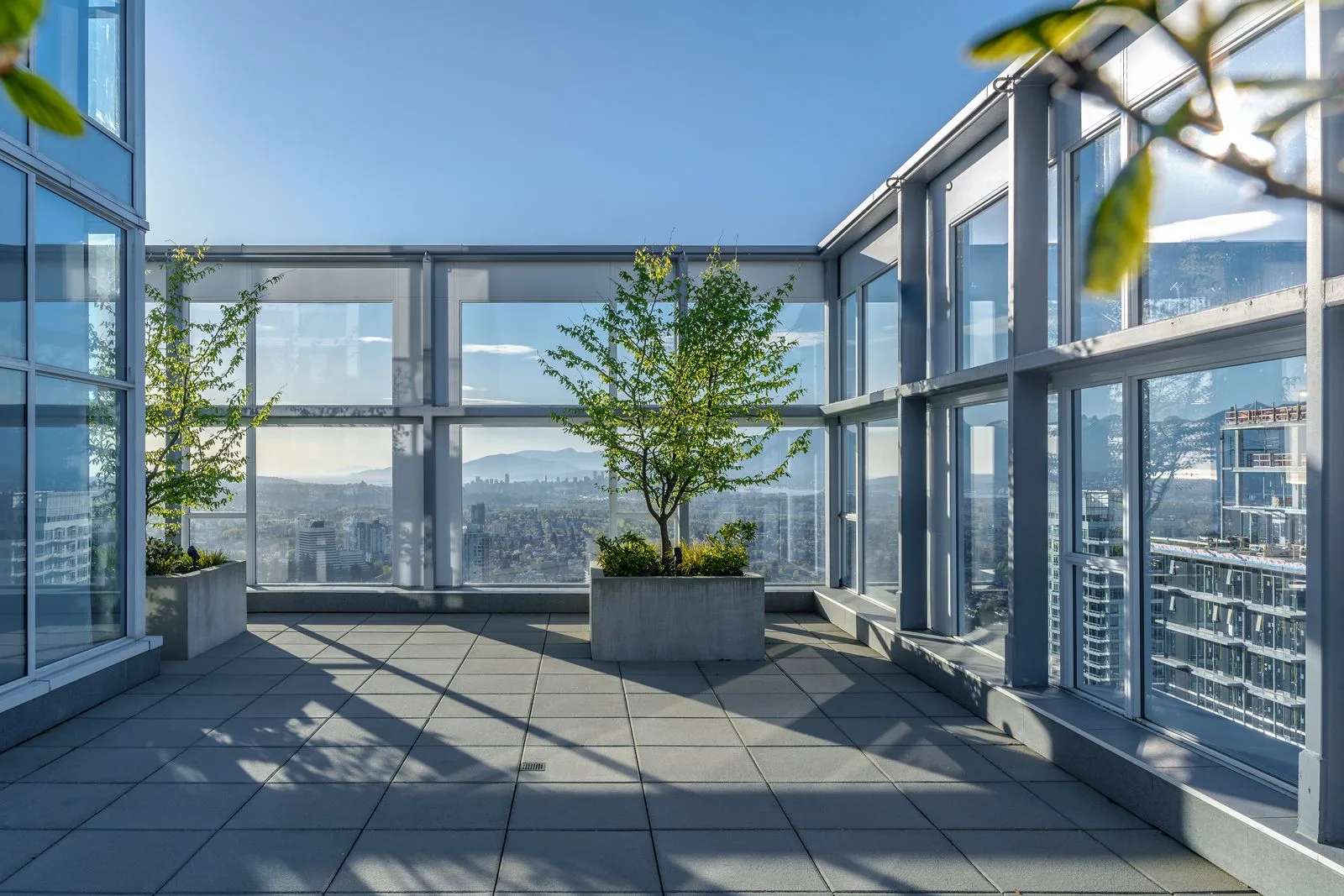 Tree in a planter on a glass-enclosed terrace with city views at Station Square 2 and 3