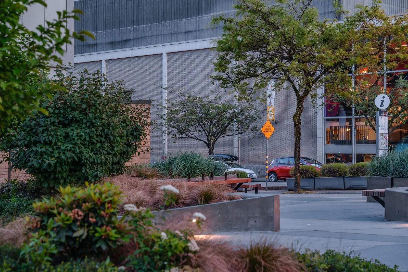 Shrub planting and trees beside a campus walkway at Vancouver Community College