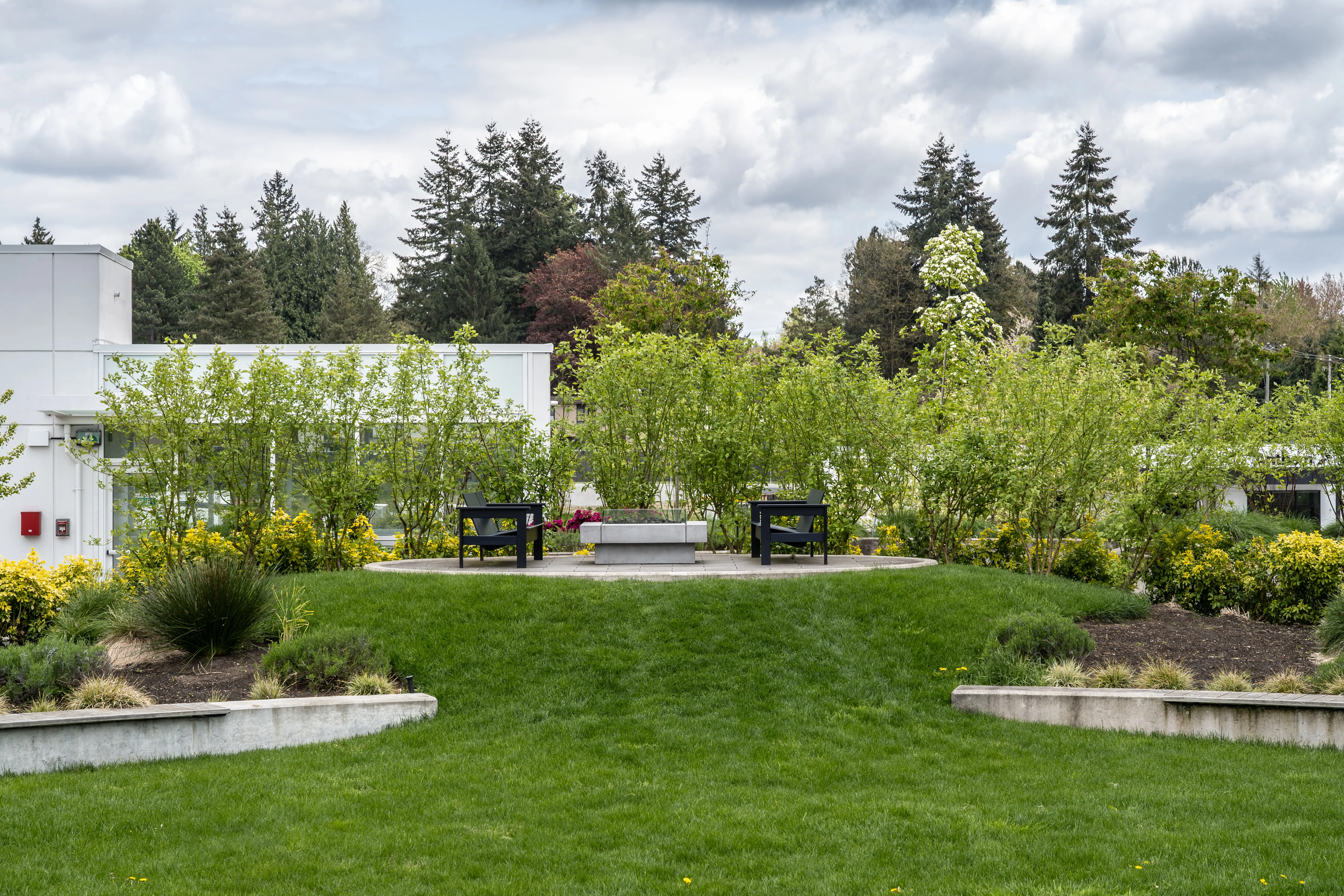 Lawn, shrub beds and seating area with trees in the background at Georgetown