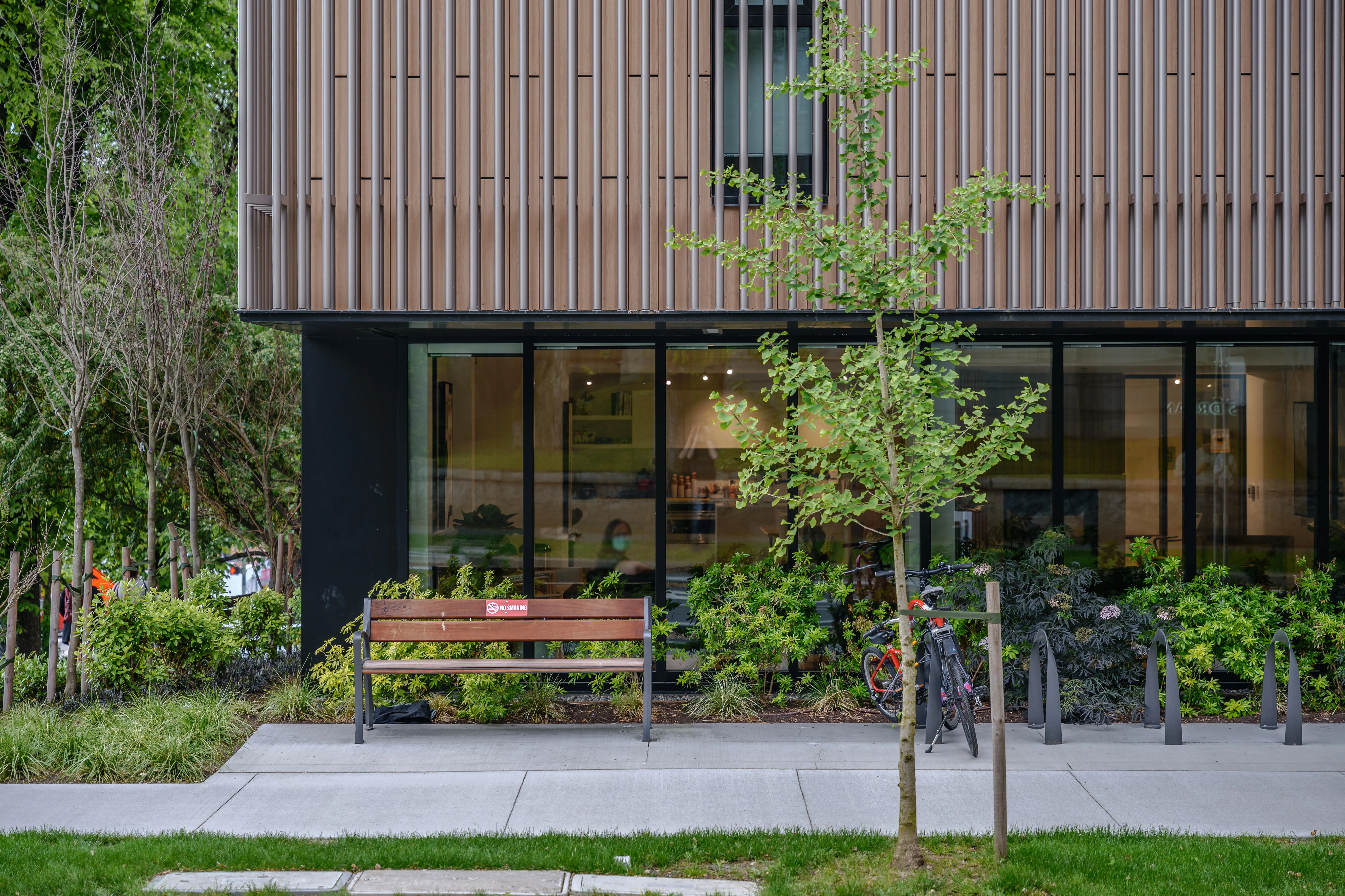 Bench, young tree and planting at a building frontage at Canadian Cancer Society