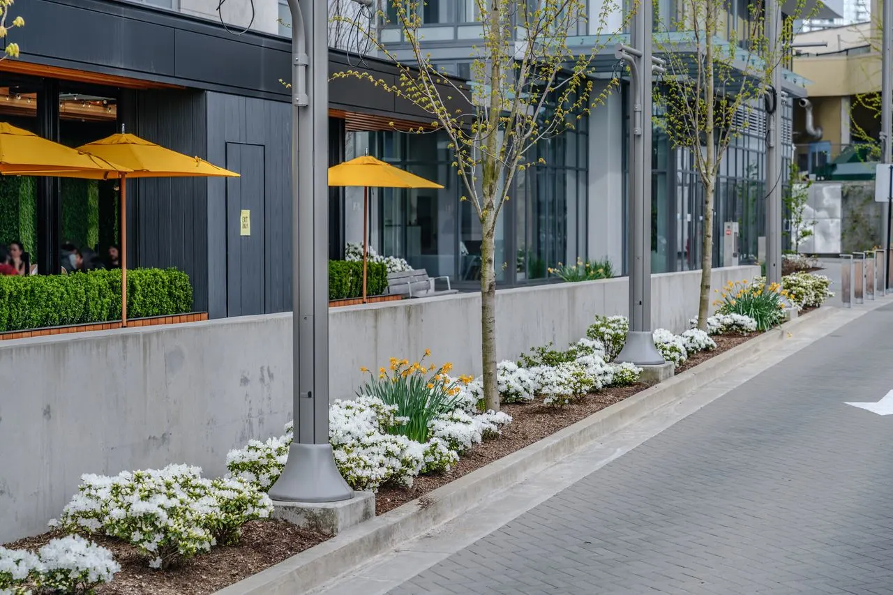 White flowering planting along a raised wall beside restaurant patios at Station Square 2 and 3