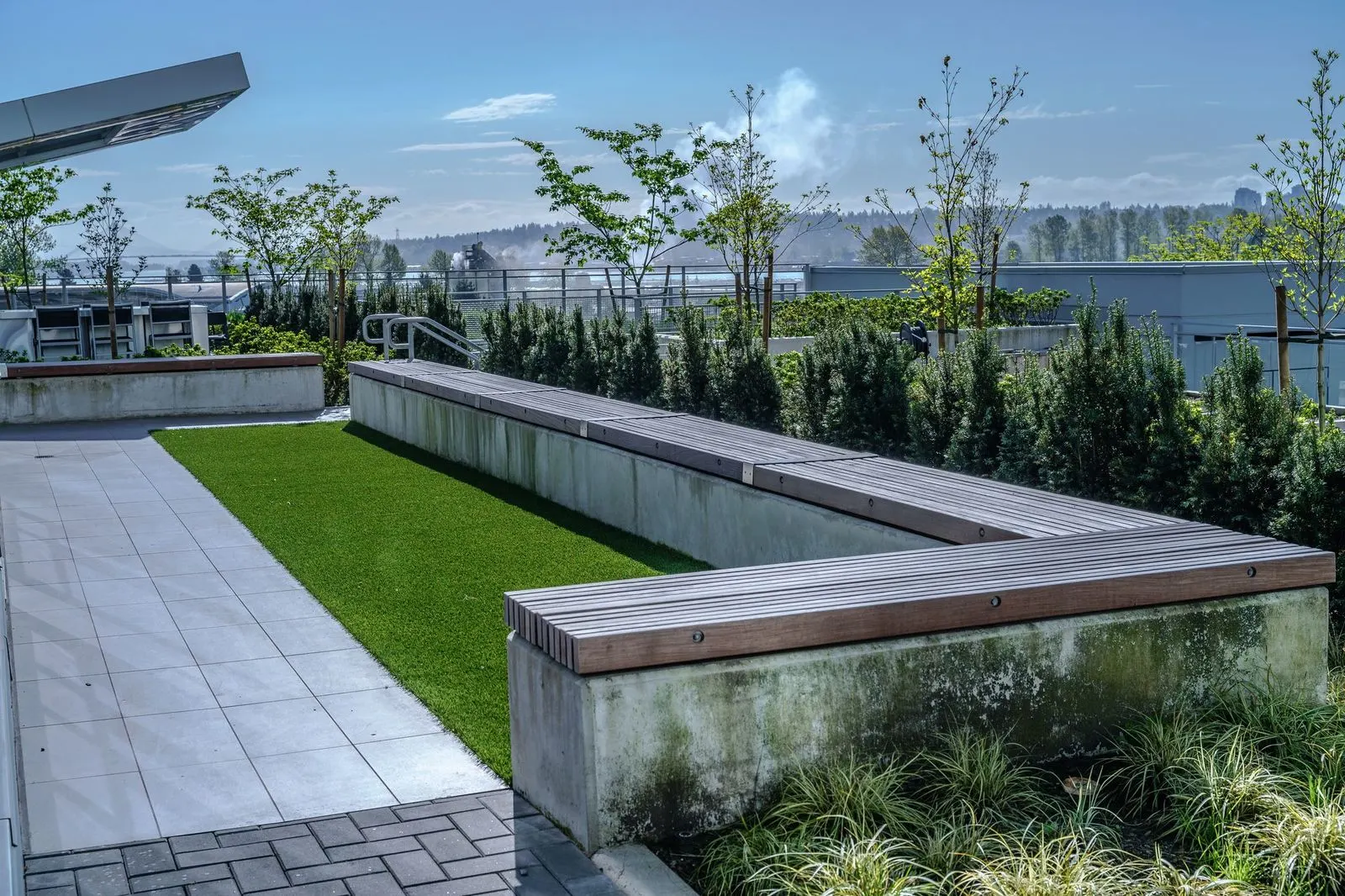 Rooftop lawn bordered by concrete planters and grasses at Brewery District 6