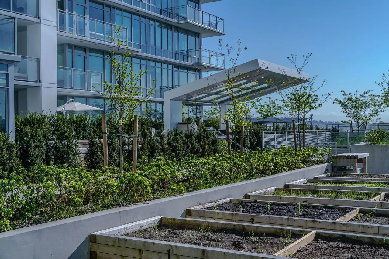 Raised timber garden plots on a rooftop terrace at Brewery District 6
