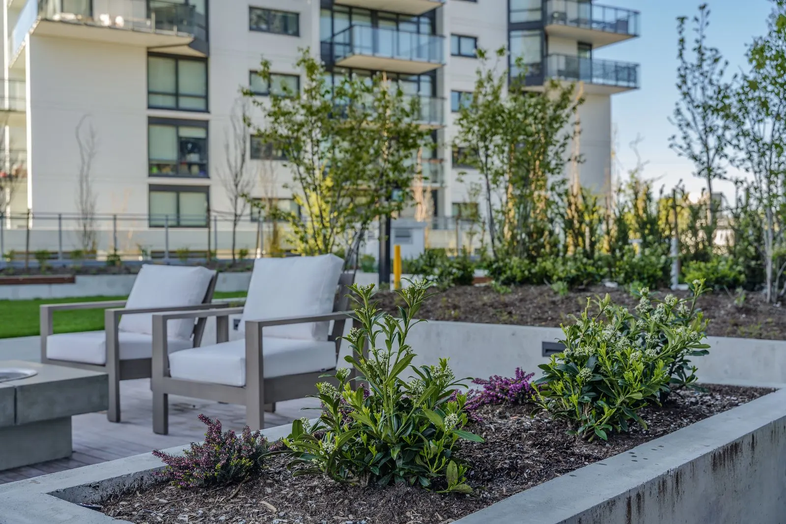 Lounge chairs beside planting beds on a courtyard terrace at Alpha Lumina