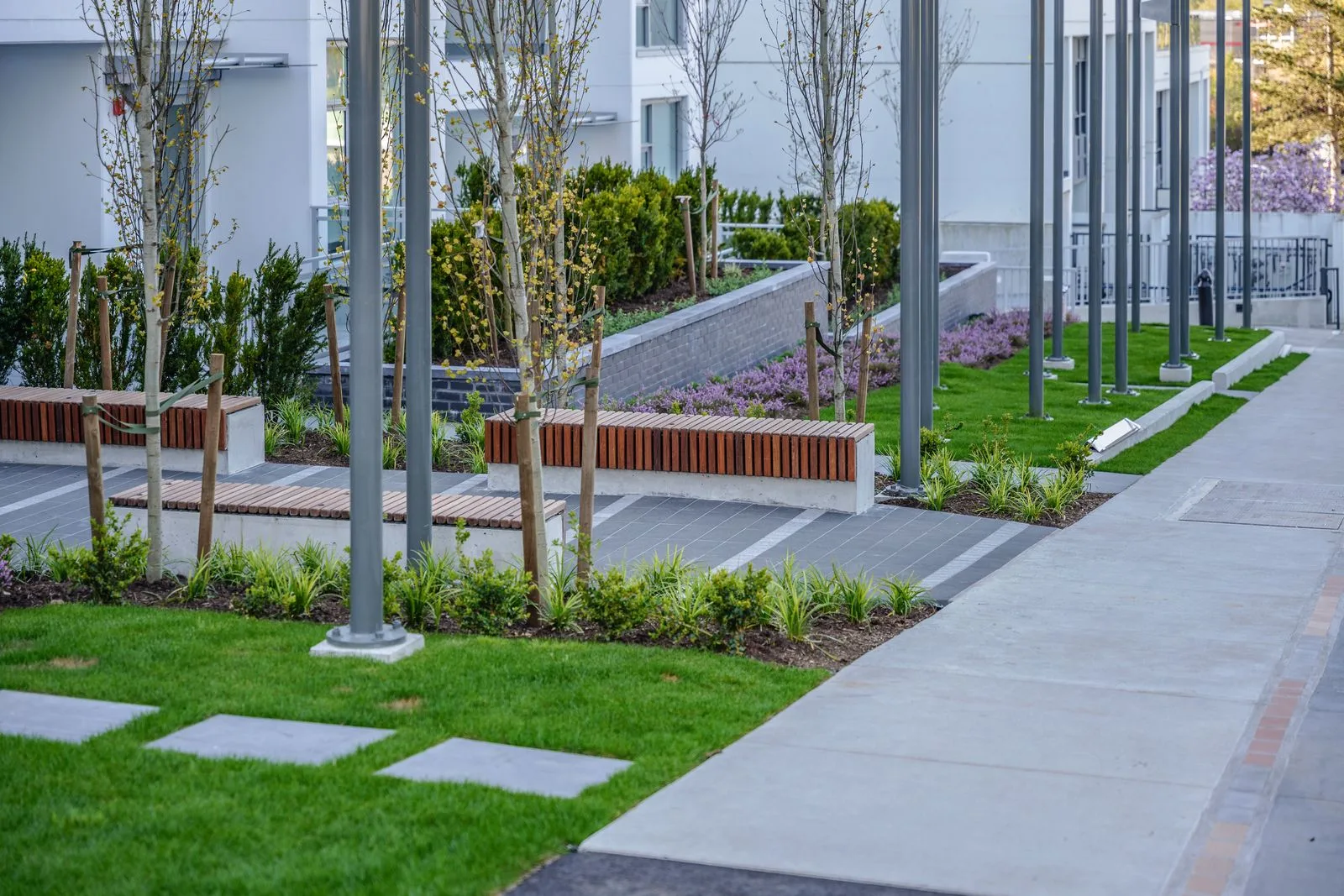 Lawn, light poles and timber benches along a walkway at Alpha Lumina