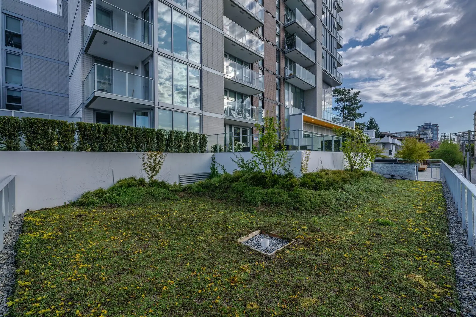 Green roof planting below residential towers at The Beverley