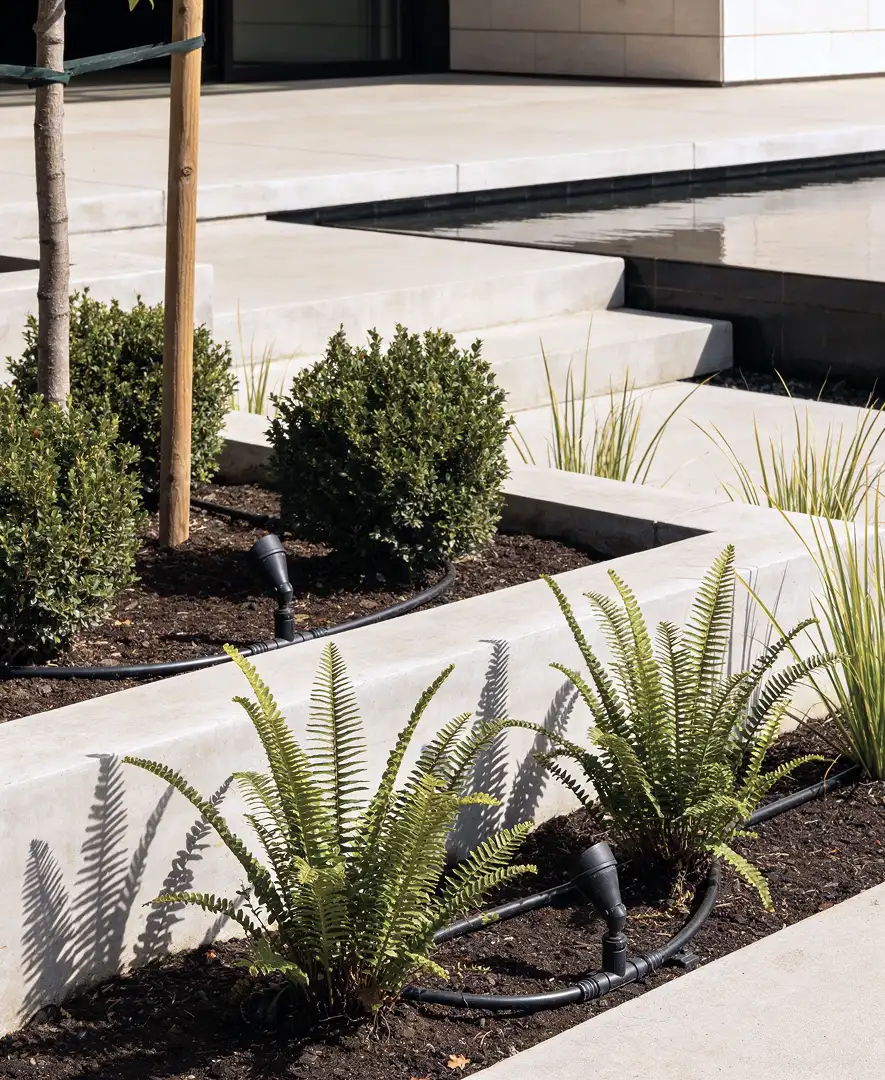 Ferns and shrubs in mulched beds between concrete steps