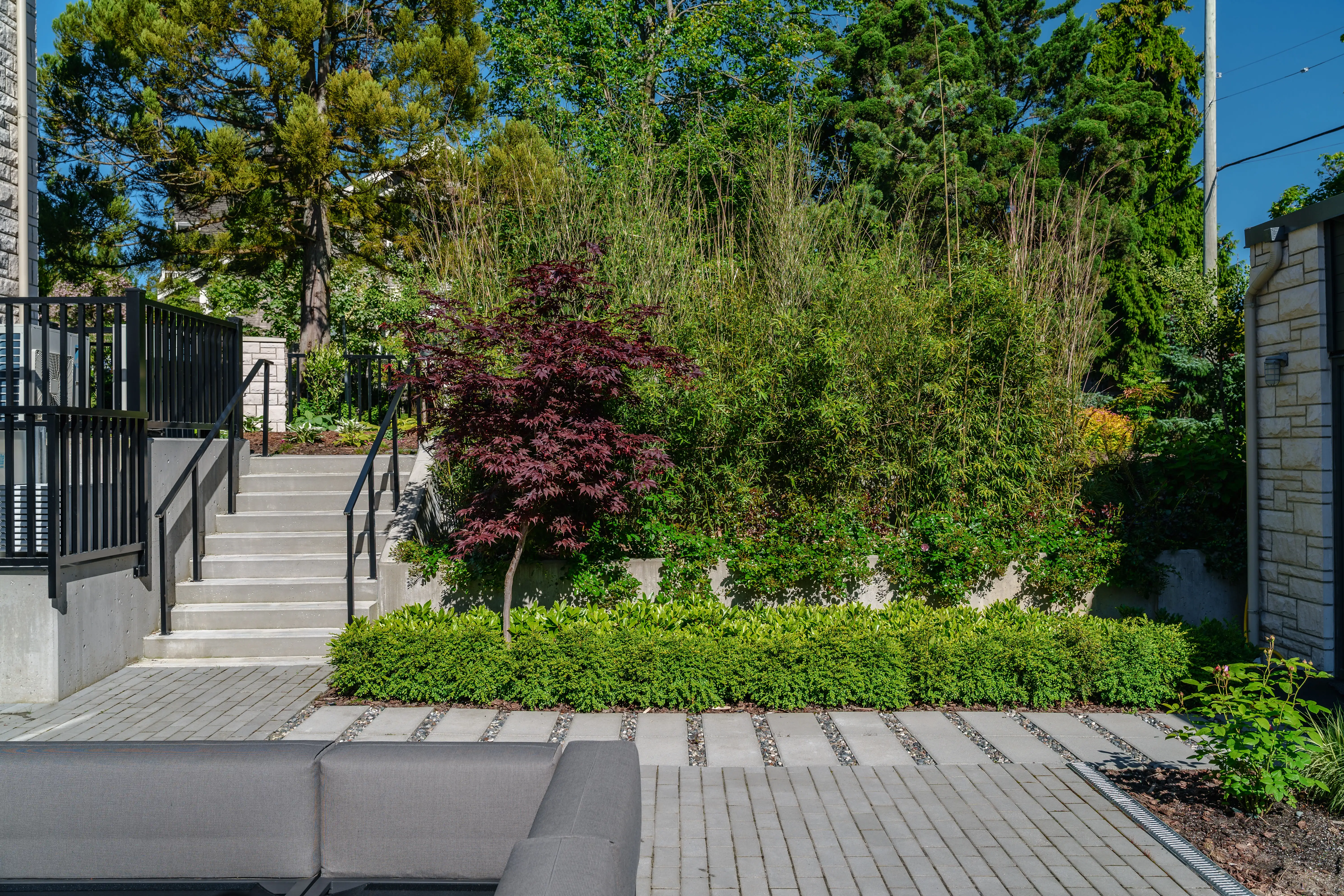 Stairs and terraced planting with a red-leaf tree at Hudson Street