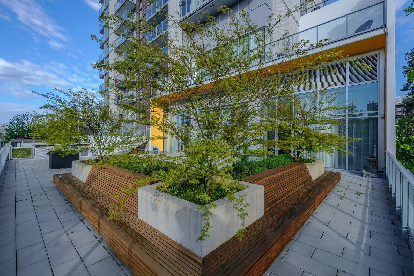 Timber-clad planters with trees along a terrace walkway at The Beverley