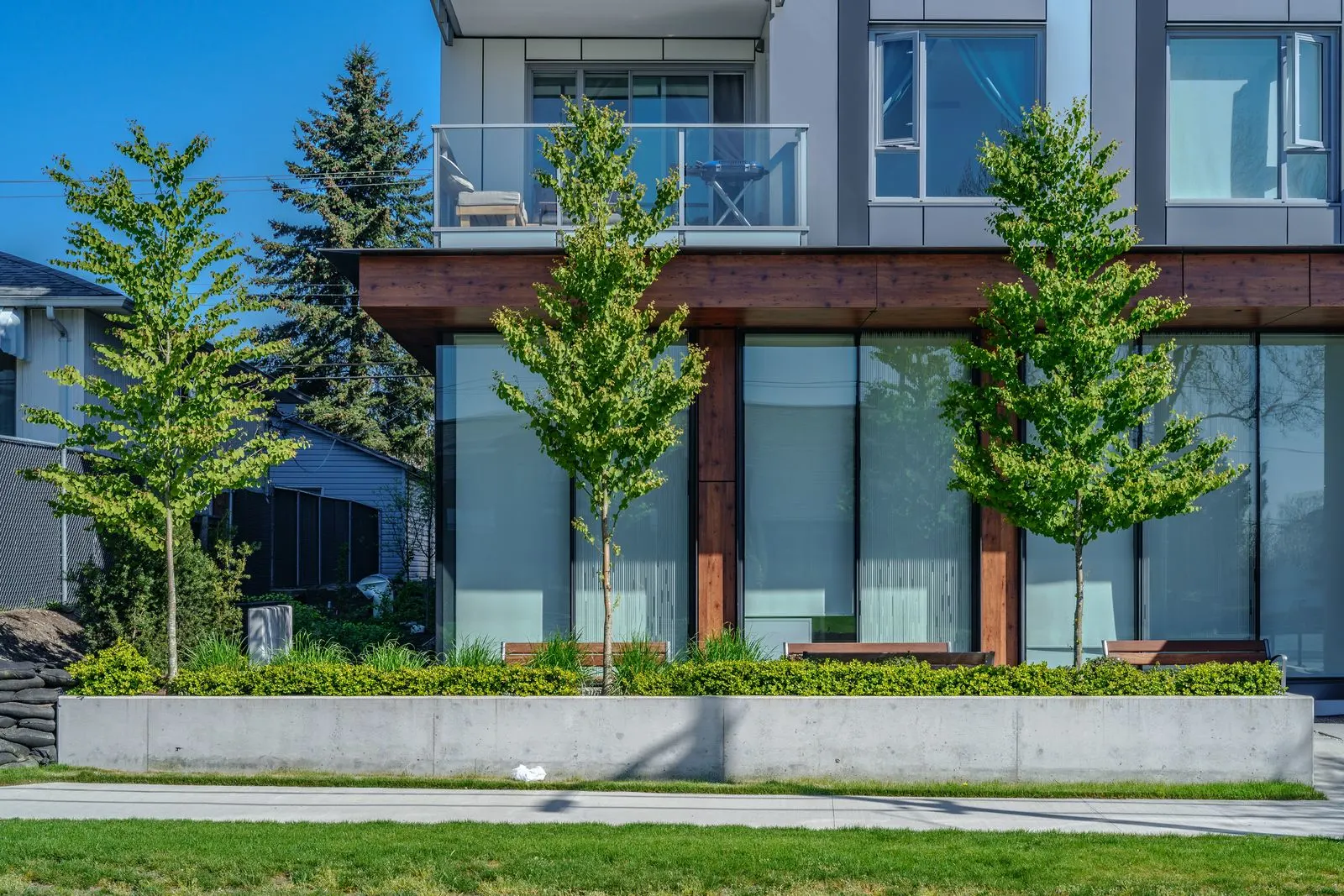 Young trees in a raised planter along a building at The Parker