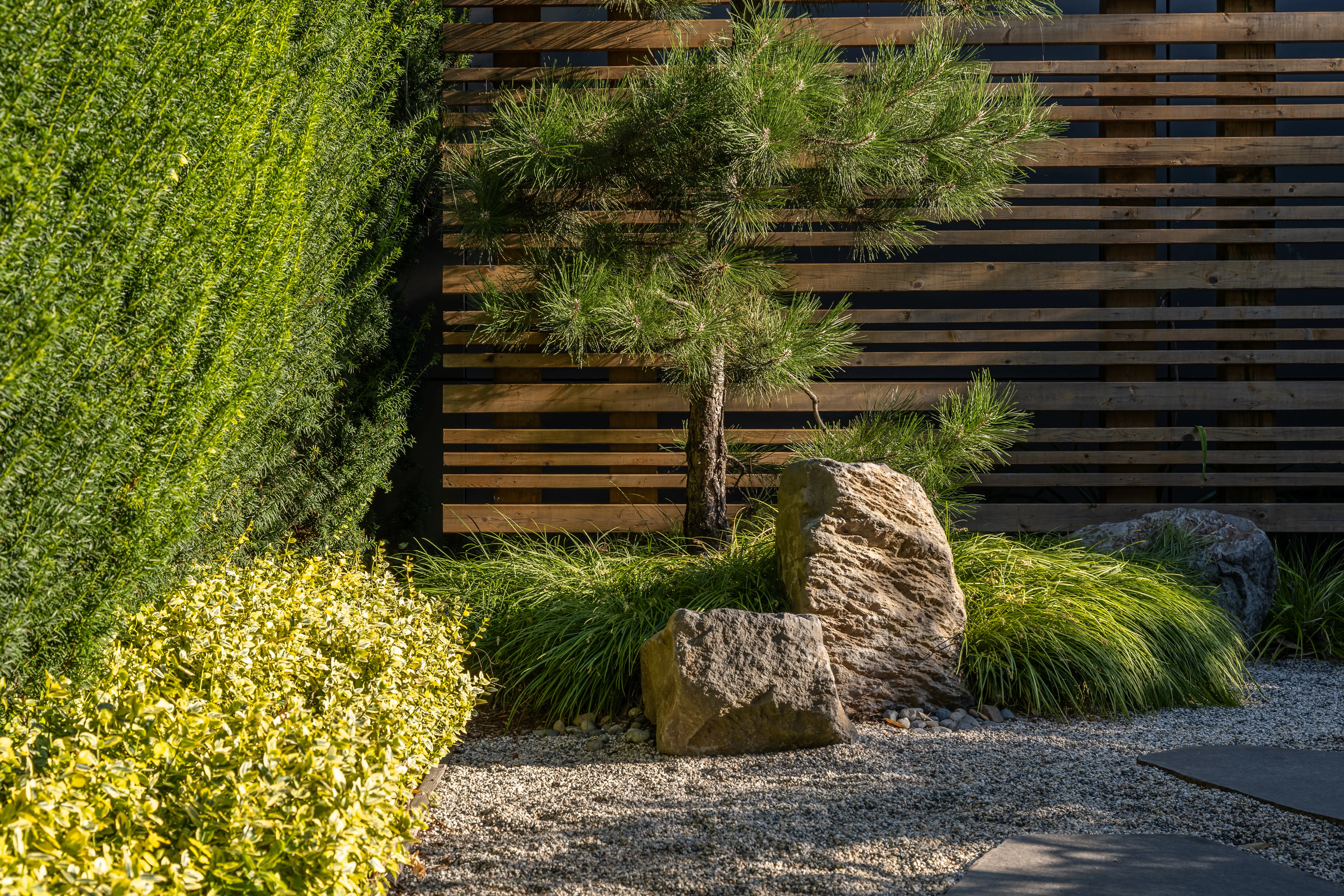 Boulders, grasses and a pine in front of a slatted timber screen at West 9th
