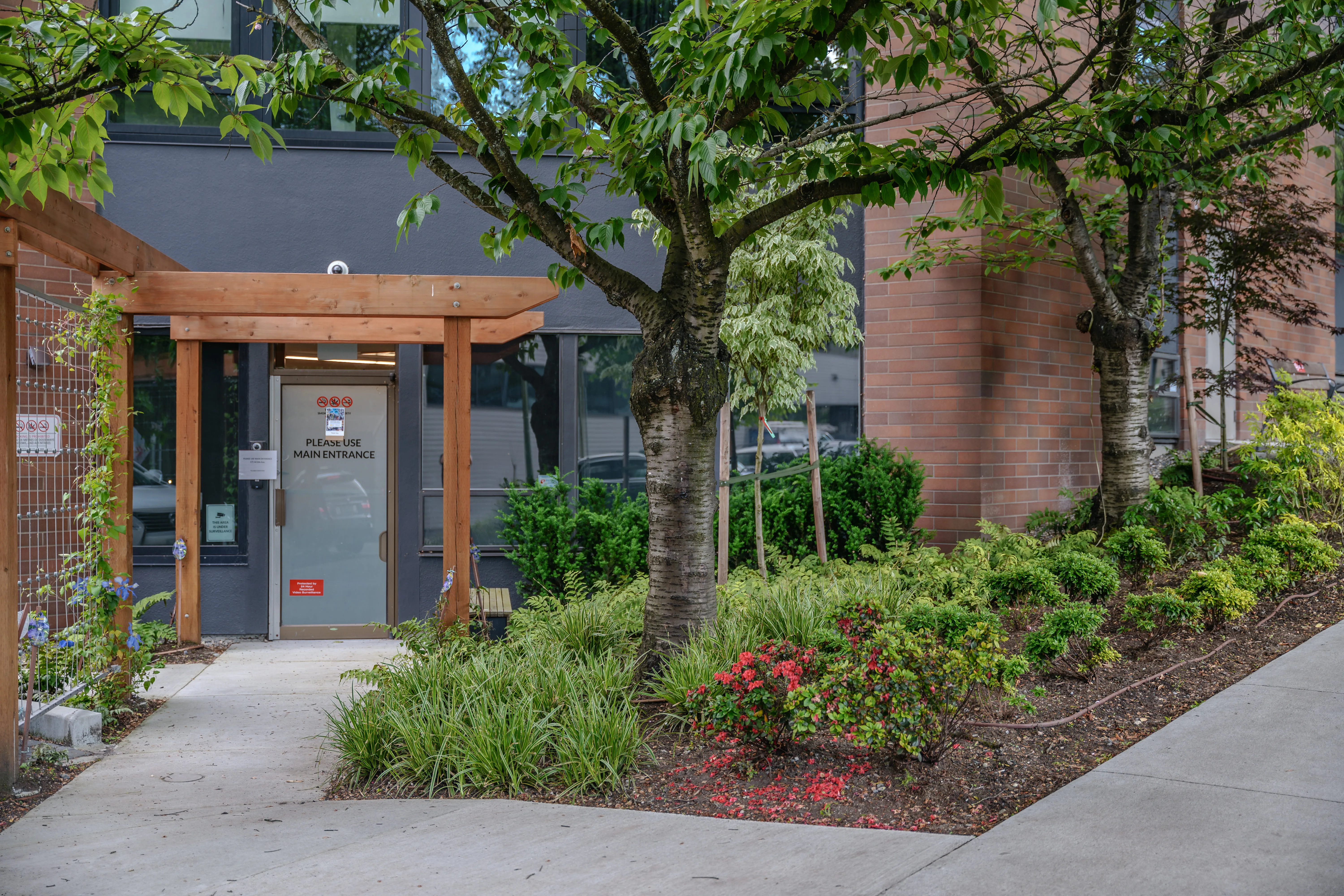 Timber arbour over an entry door with shrub planting at Canadian Cancer Society