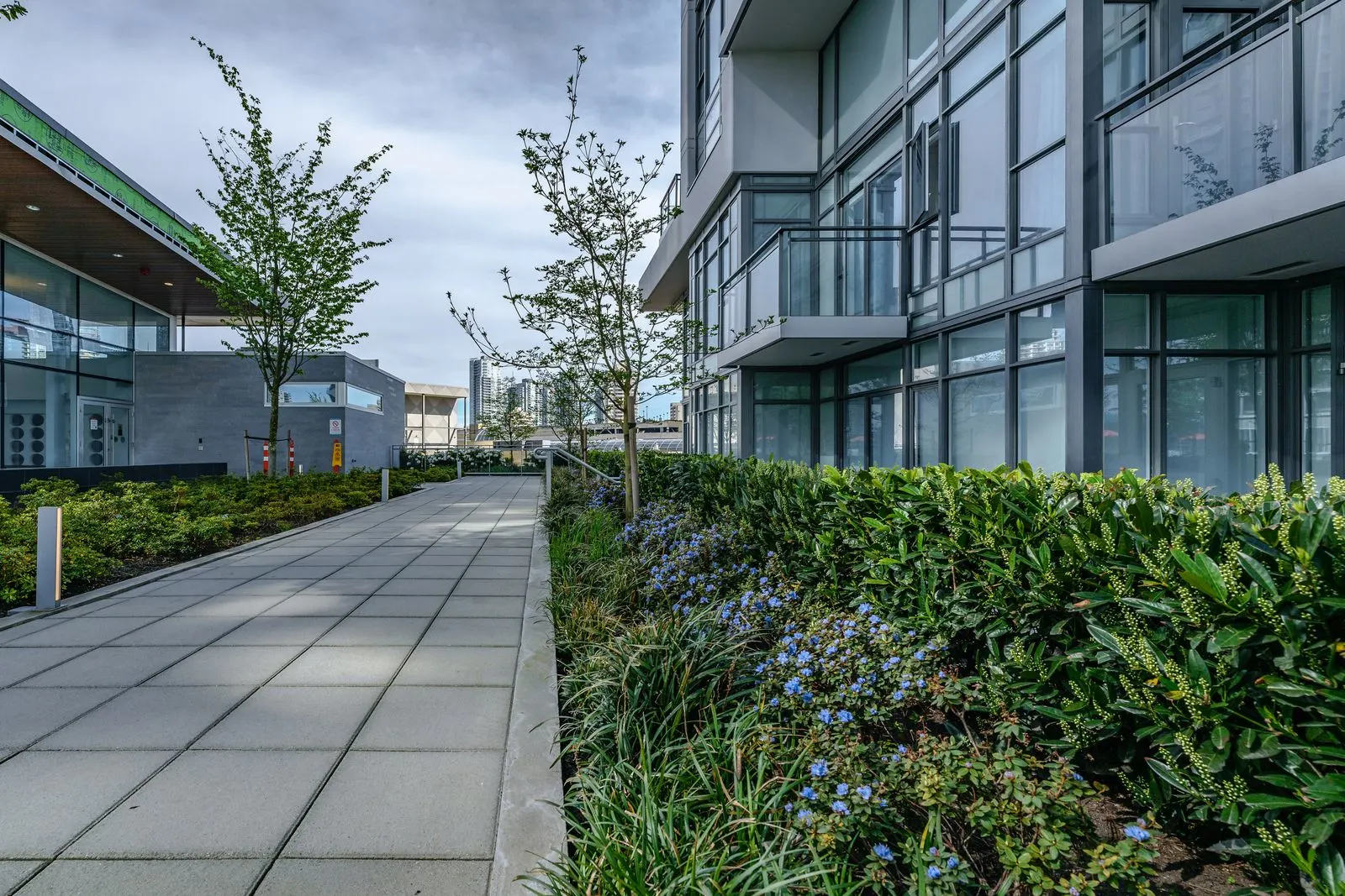 Paved walkway with shrub planting on a podium at Station Square 2 and 3