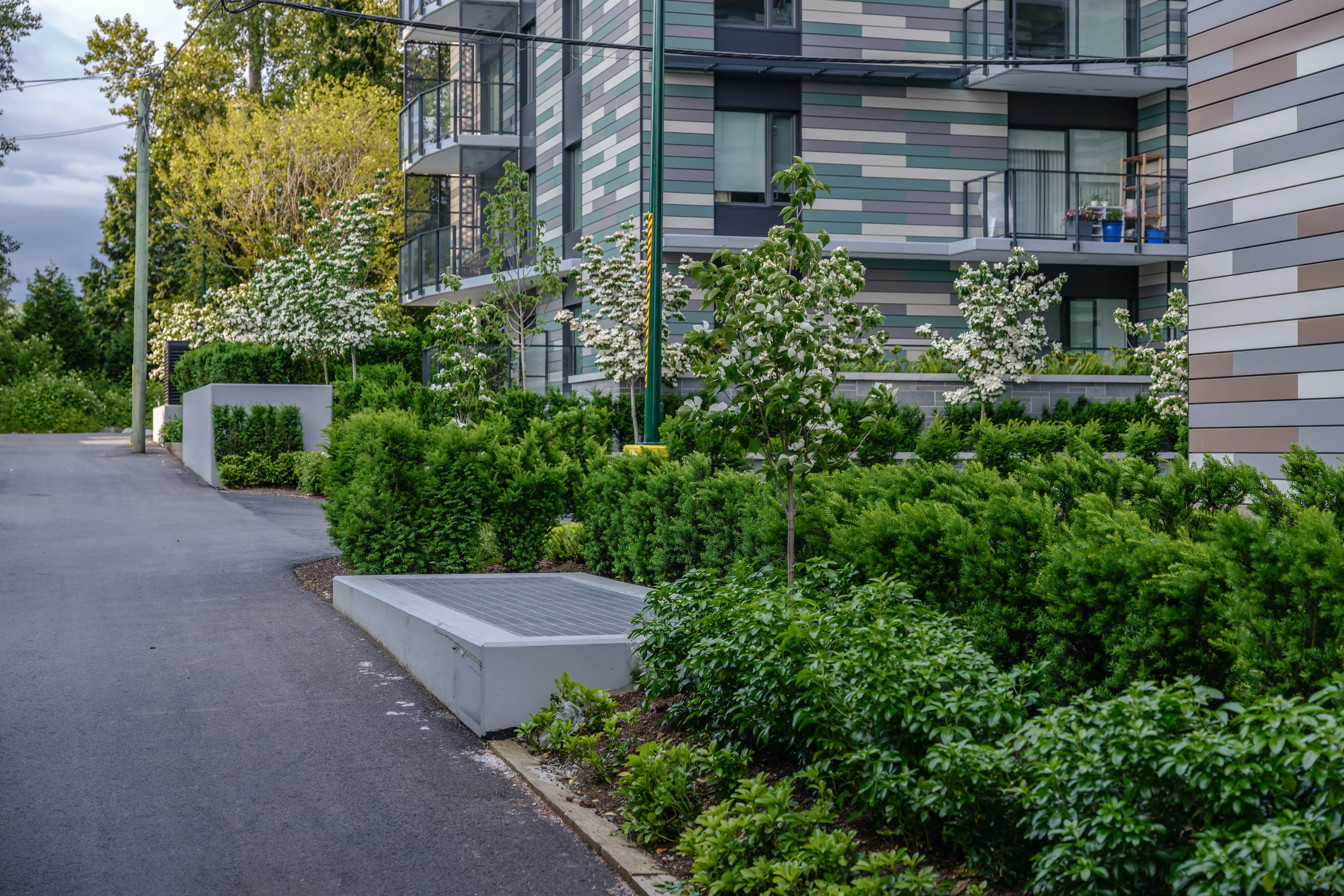 Driveway lined with hedges and shrub planting at Parkhouse