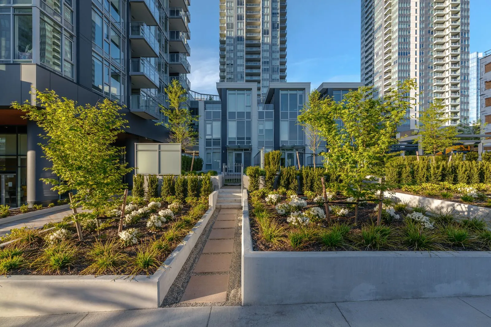 Pathway between raised planters with young trees at Sun Tower II