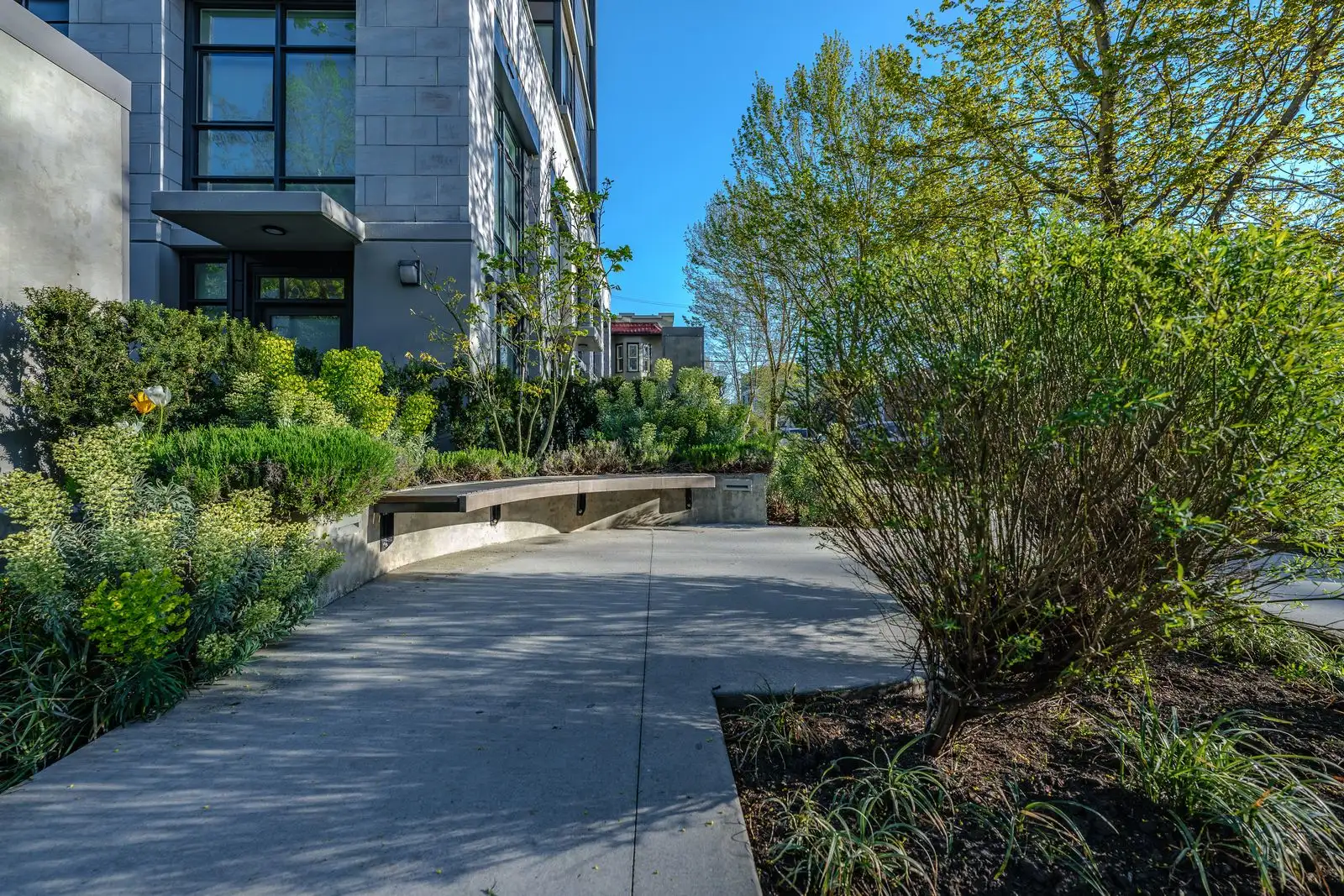 Paved walkway between shrub and grass planting at Eleven West