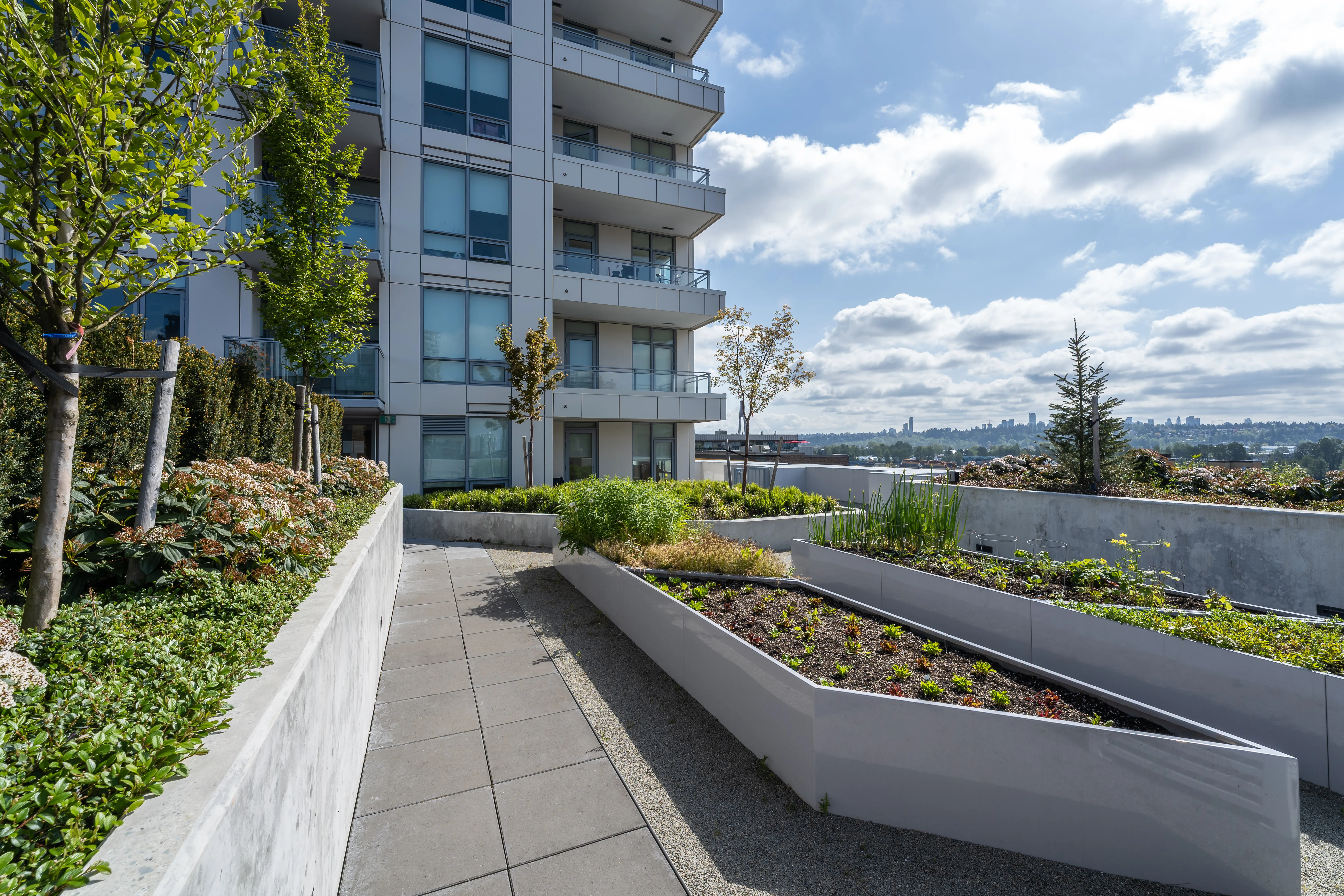 Rooftop walkway with raised concrete planters at 618 Carnarvon