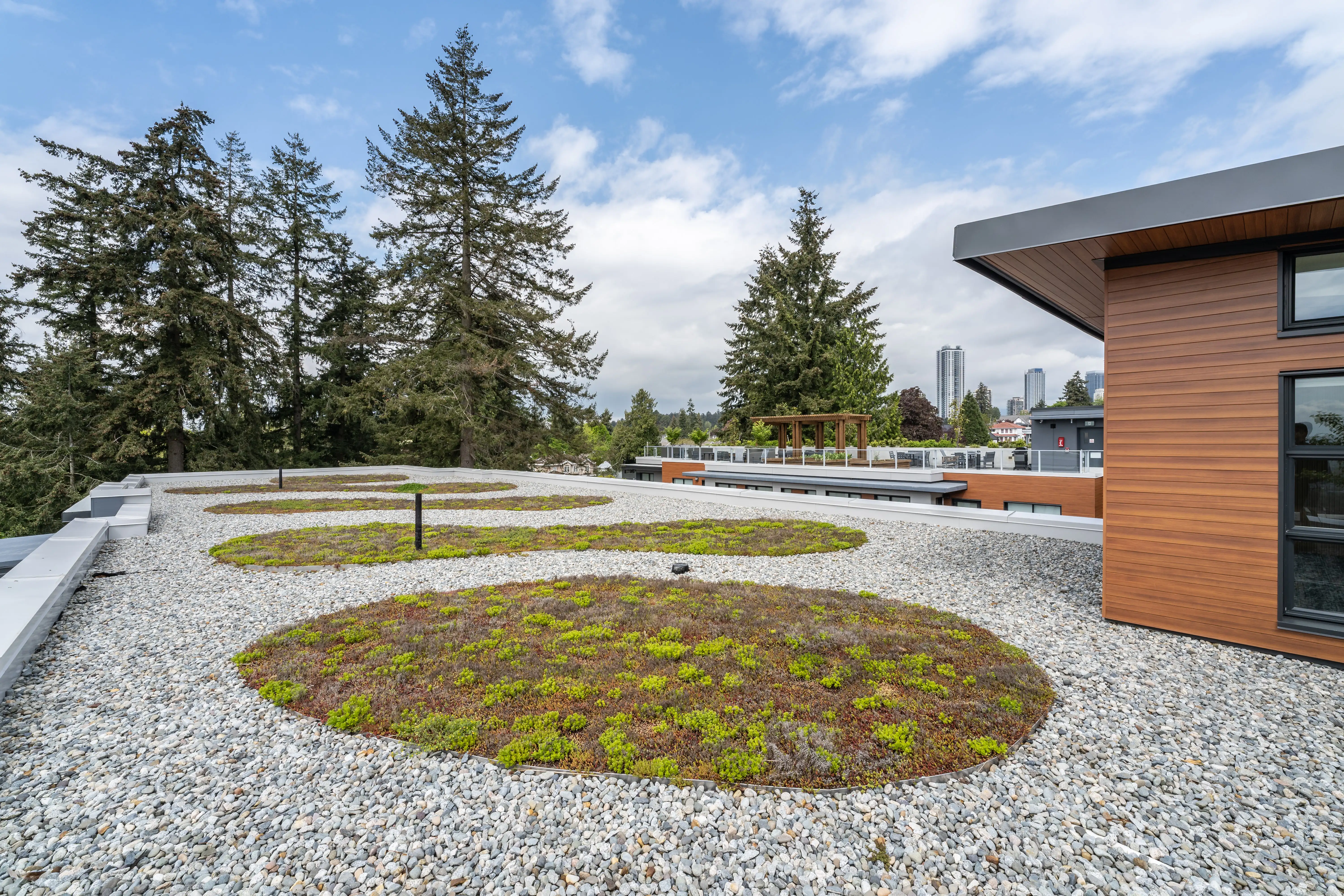 Circular green roof planting beds in gravel on a rooftop at L'Arche Community Centre