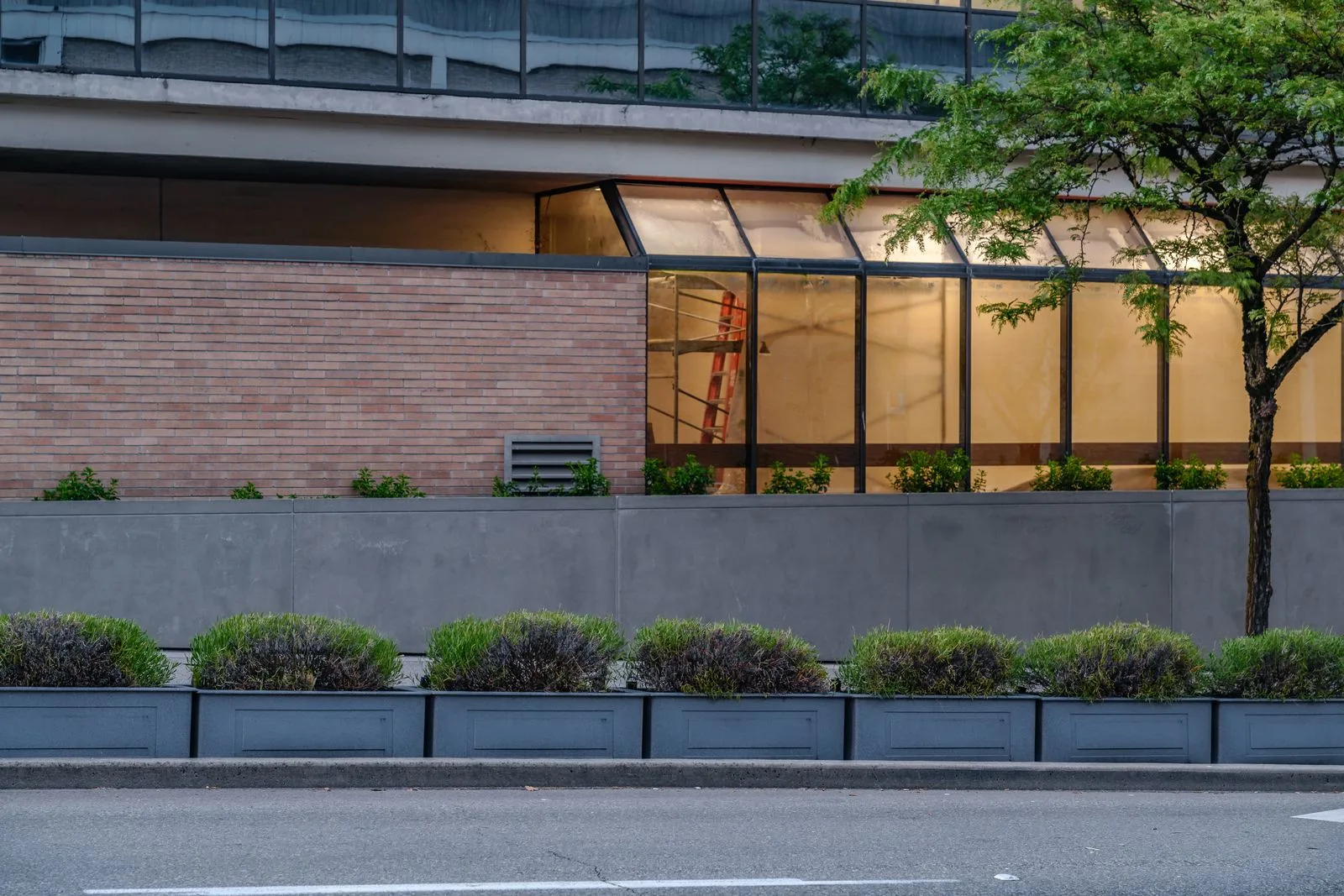 Row of planters along a campus building frontage at Vancouver Community College