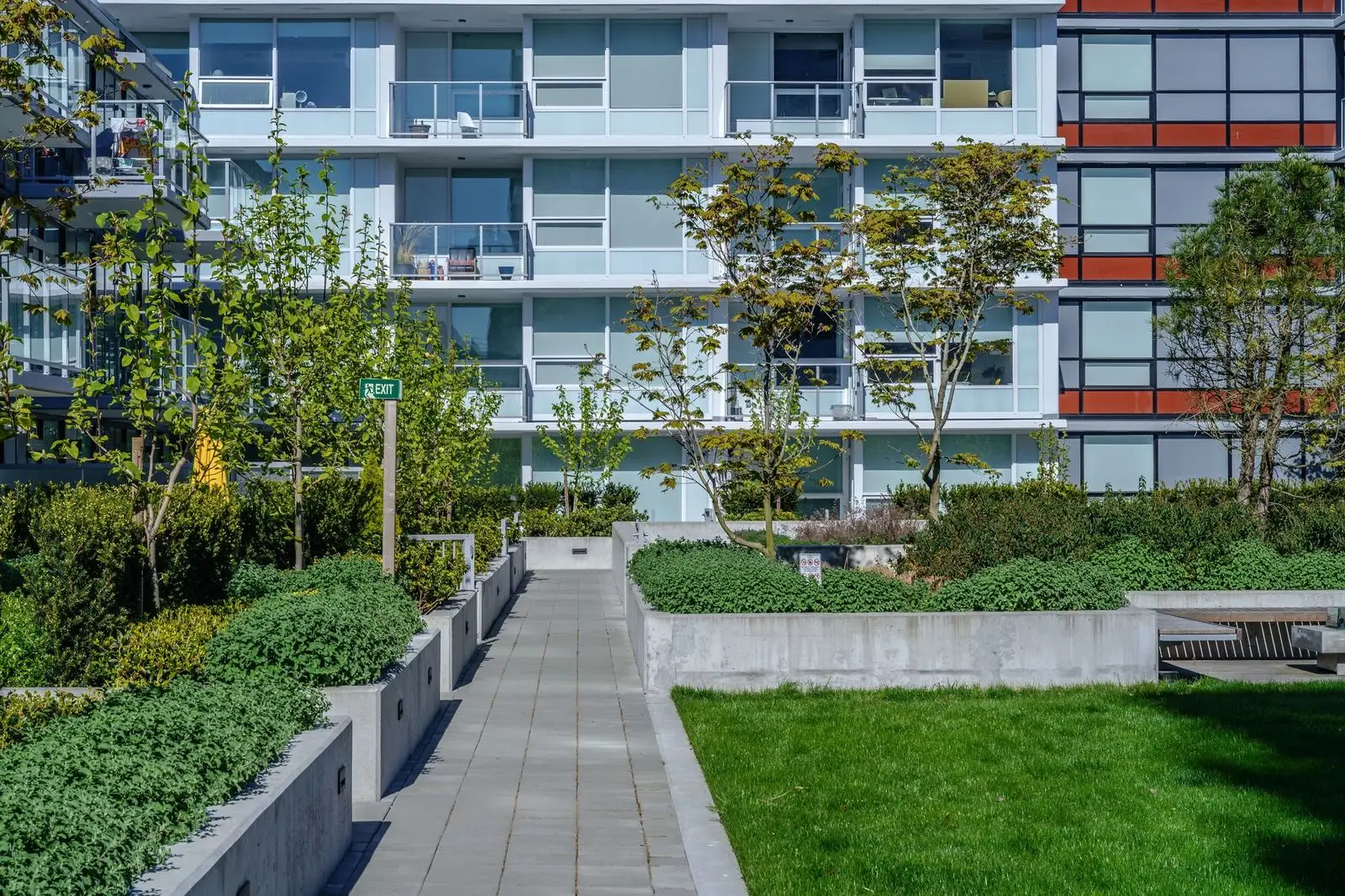 Walkway between lawn and shrub planting in a courtyard at River Park Place 2