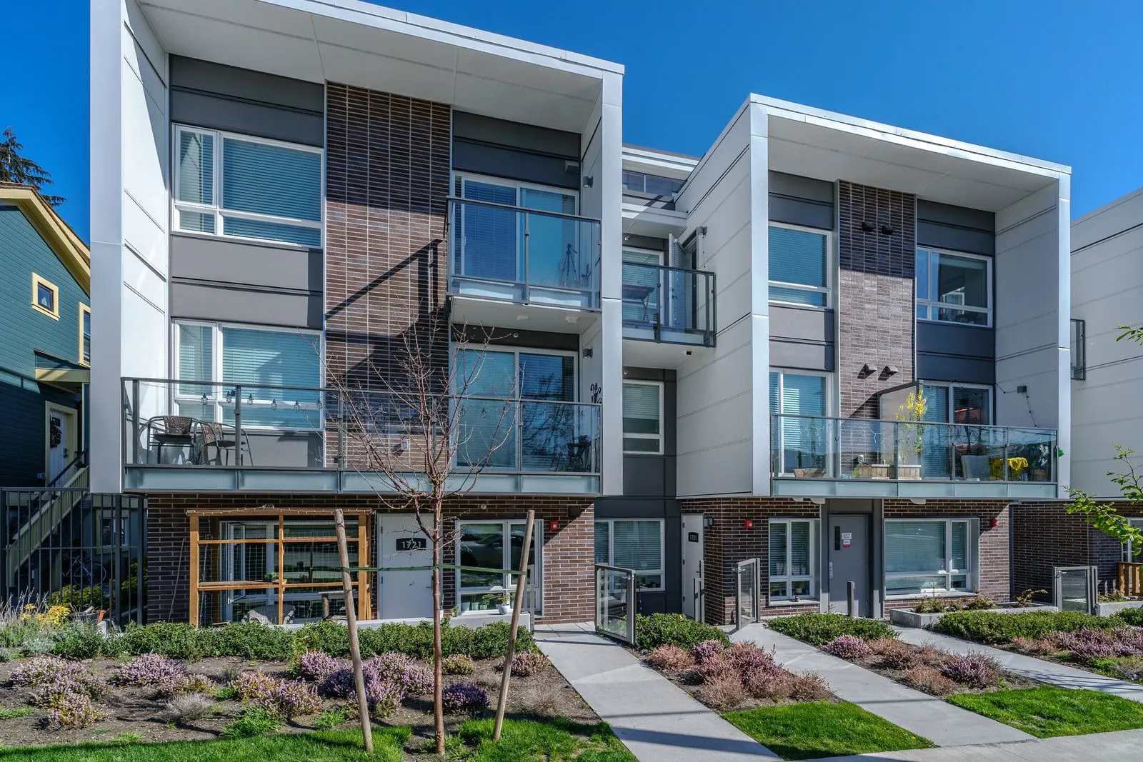 Front yard planting at modern townhomes at Conrad
