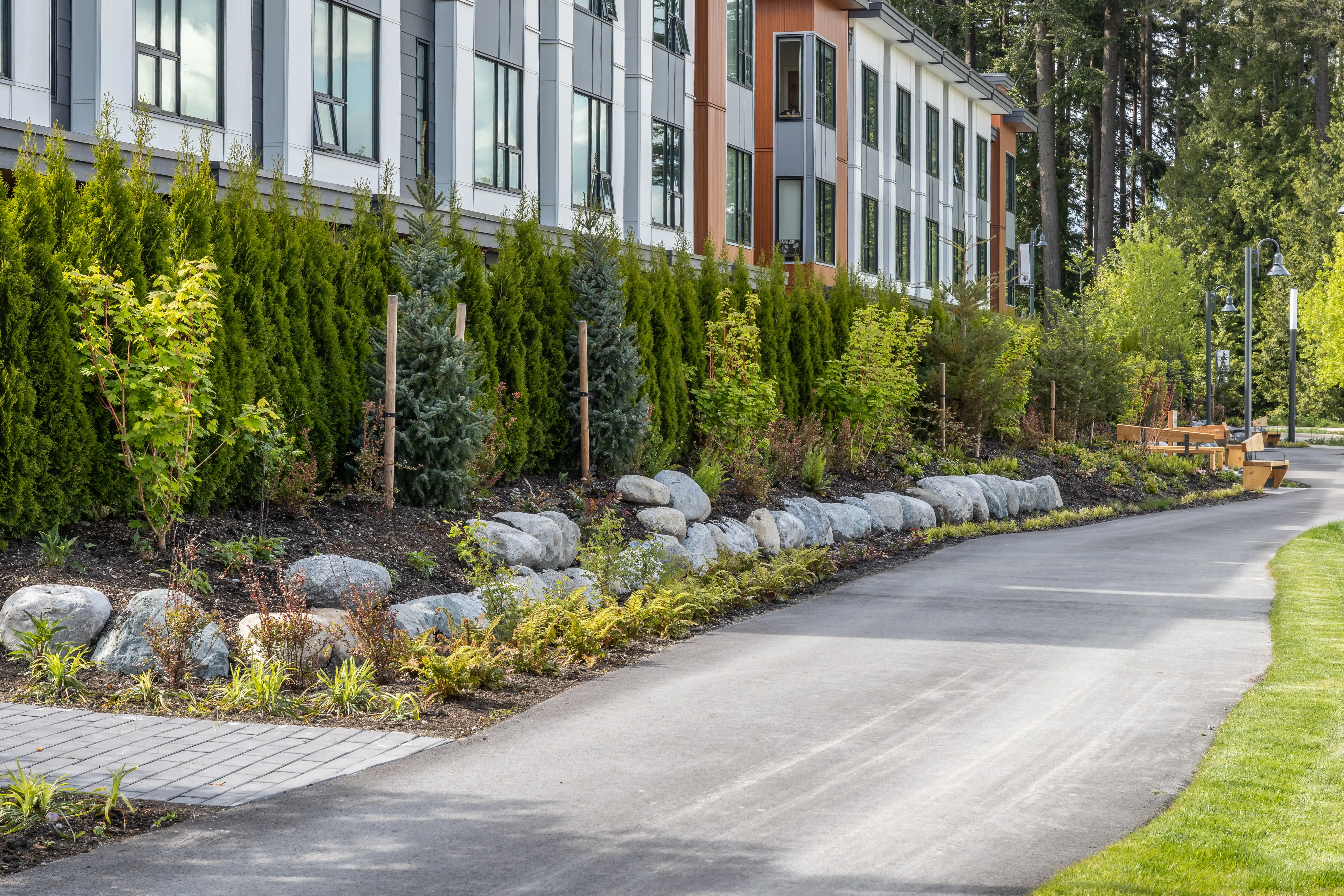 Paved trail with boulder edging along a row of evergreens at Community Green and Ortona Trail