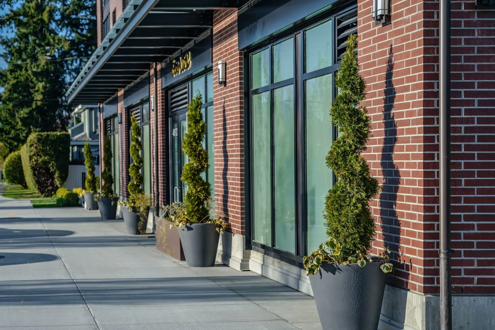 Spiral topiaries in planters along a brick townhome frontage at Westbury Townhomes