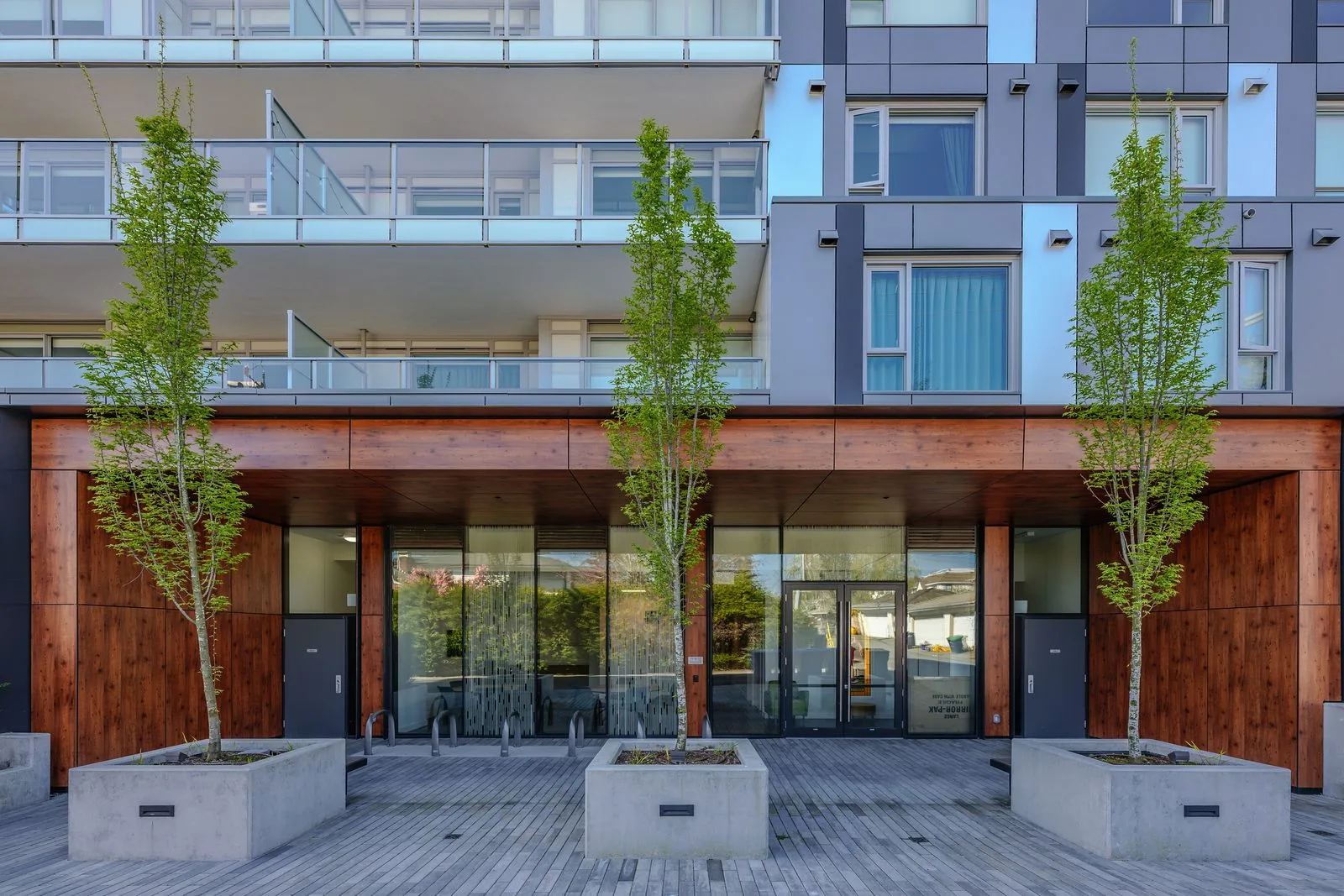 Trees in concrete planters on a deck in front of a building at The Parker