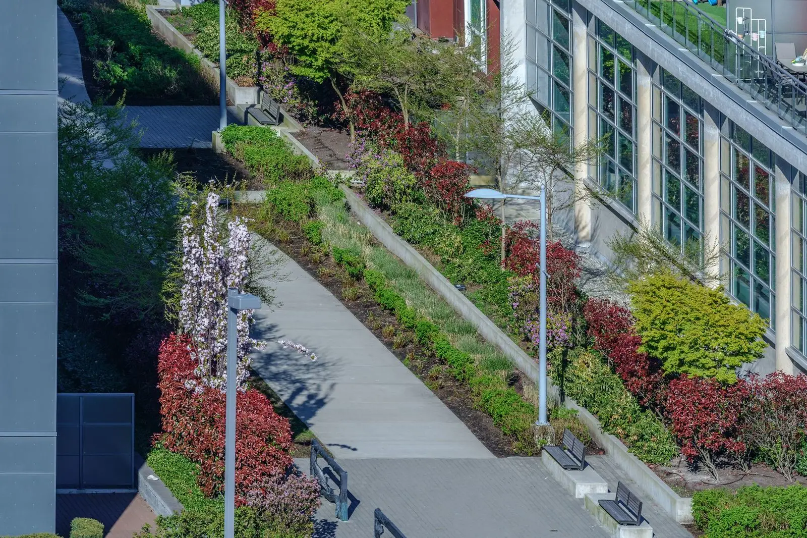 Sloped walkway with layered shrub planting beside a building at River Park Place 2