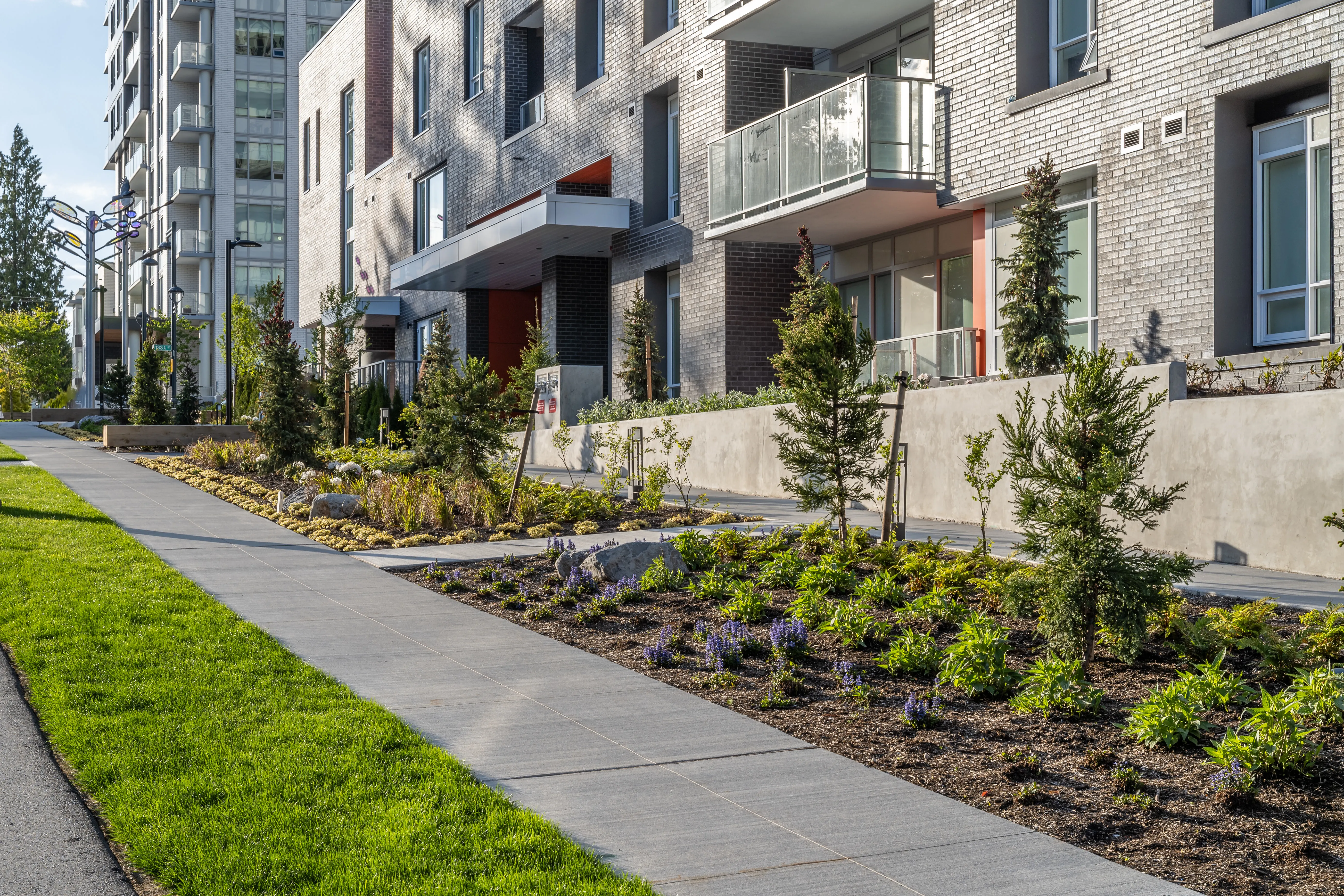 Lawn, sidewalk and planting beds along a building at The Holland II